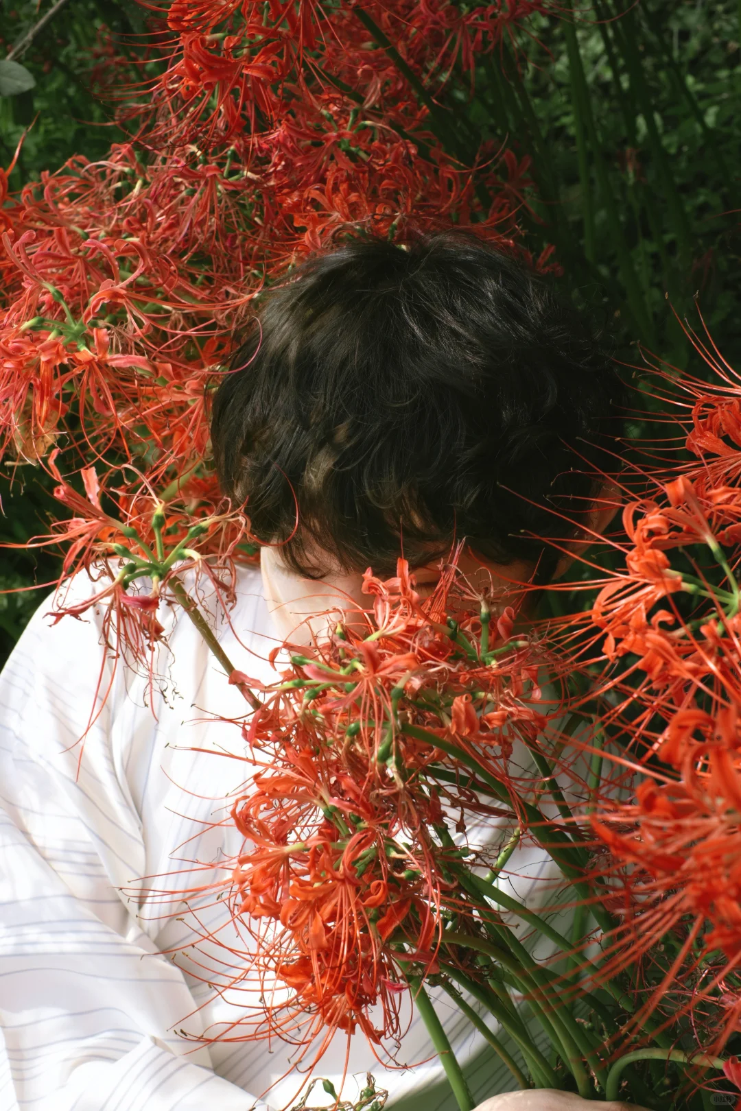 “溺花问夏 锁山吻秋”