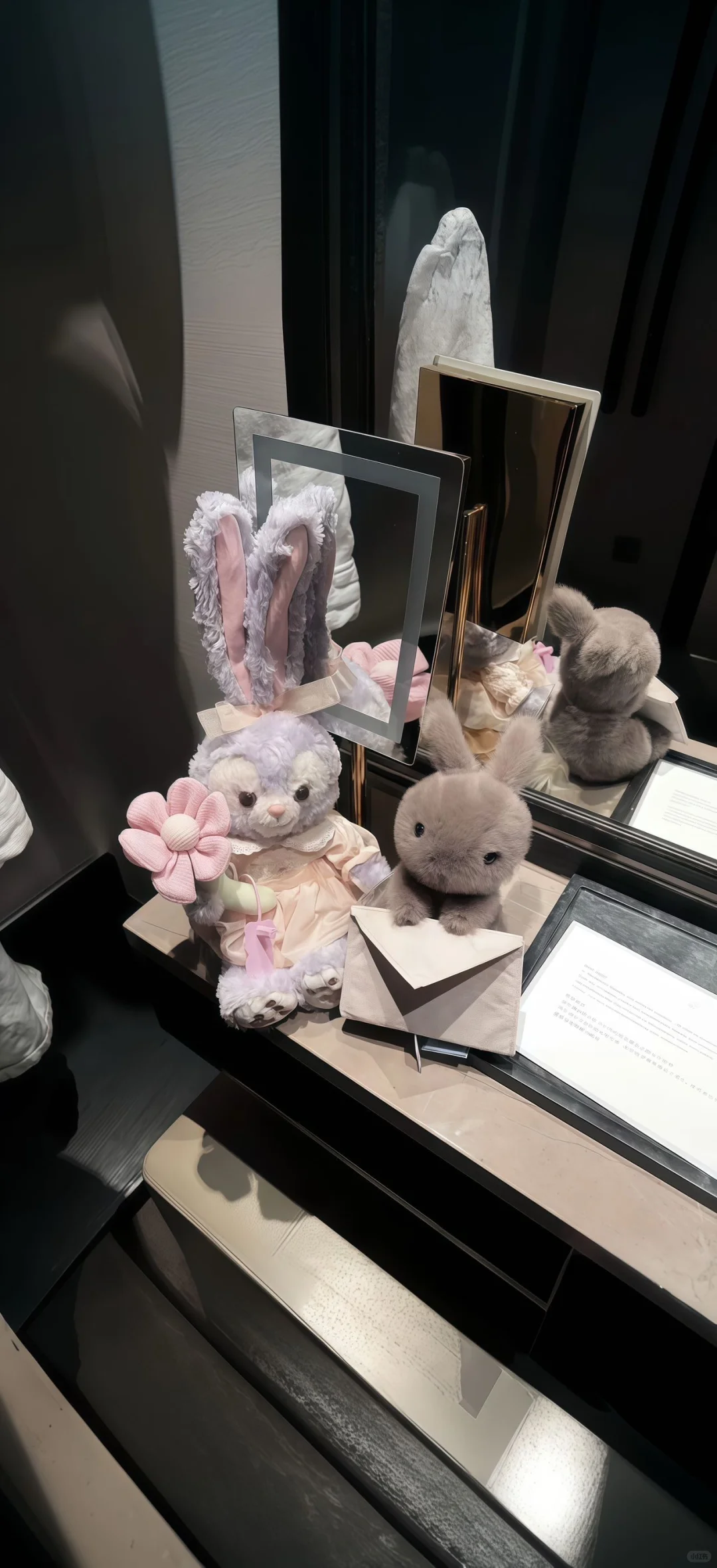 share｜ins风壁纸🐇