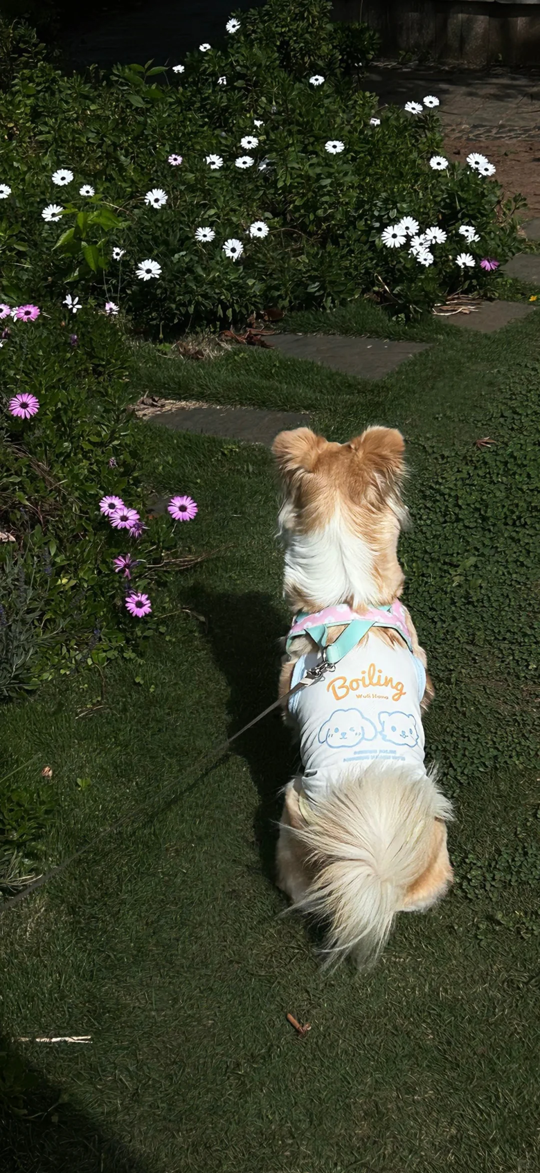 初冬氛围感壁纸