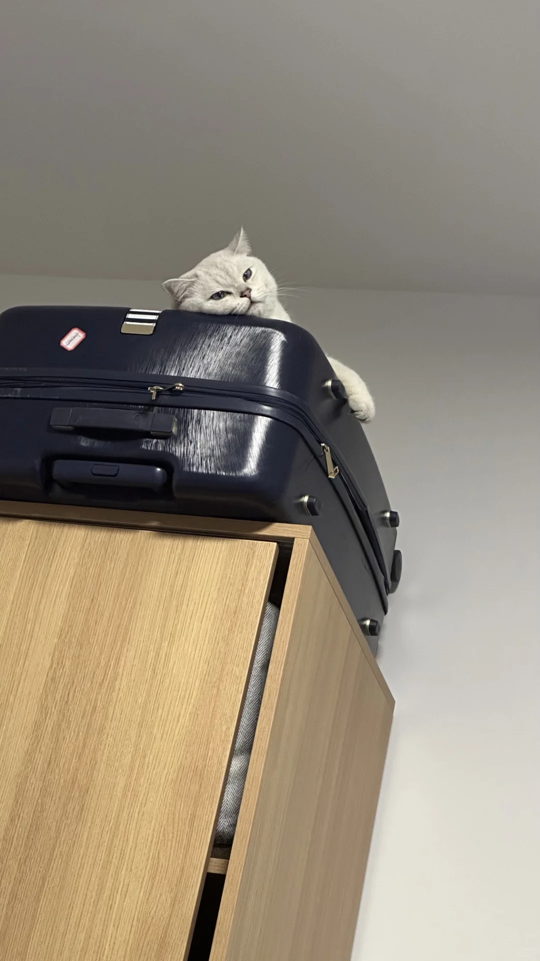 媚眼如丝→鬼迷日眼