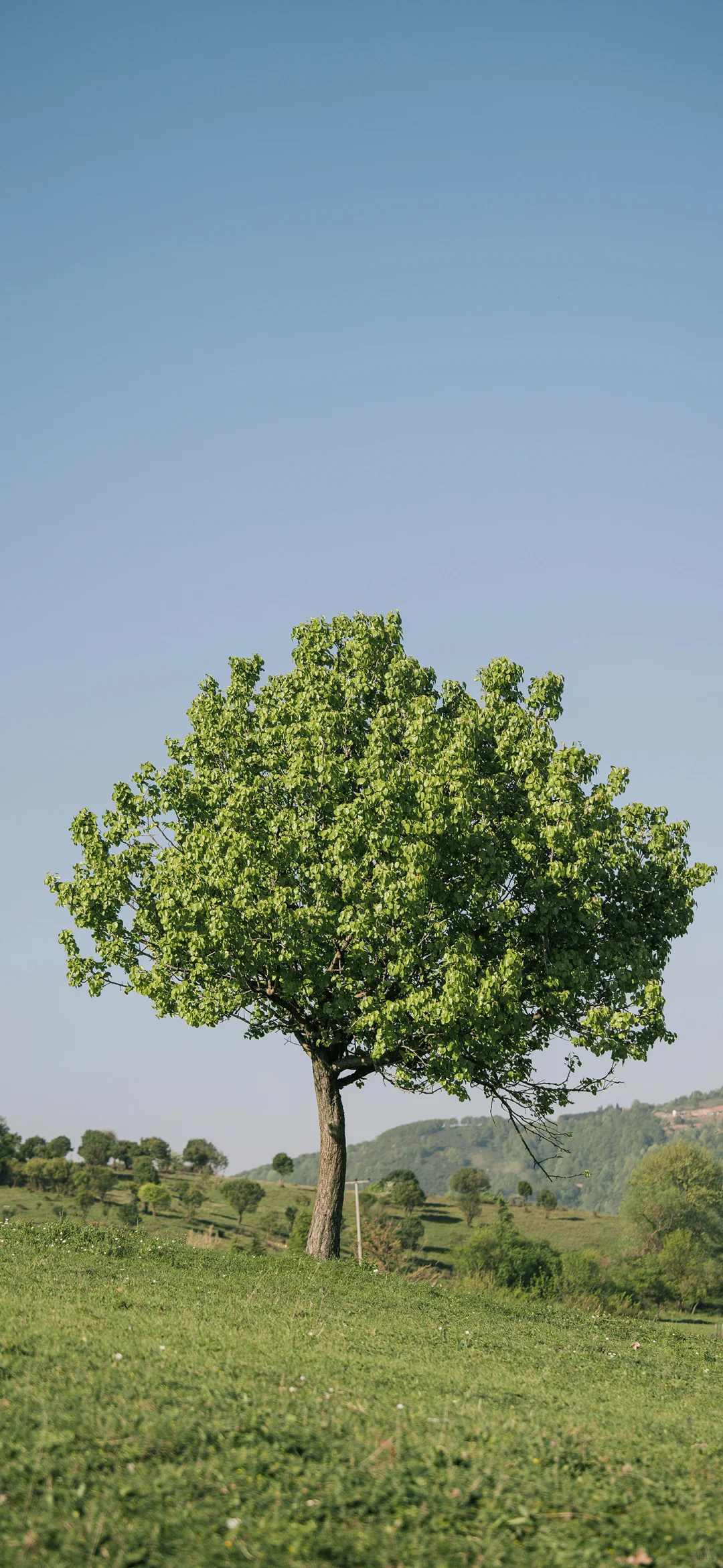 其实你已经足够好了