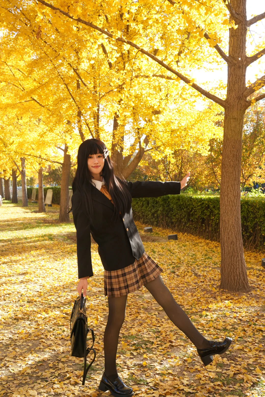 来和我一起赏 北平的秋吧