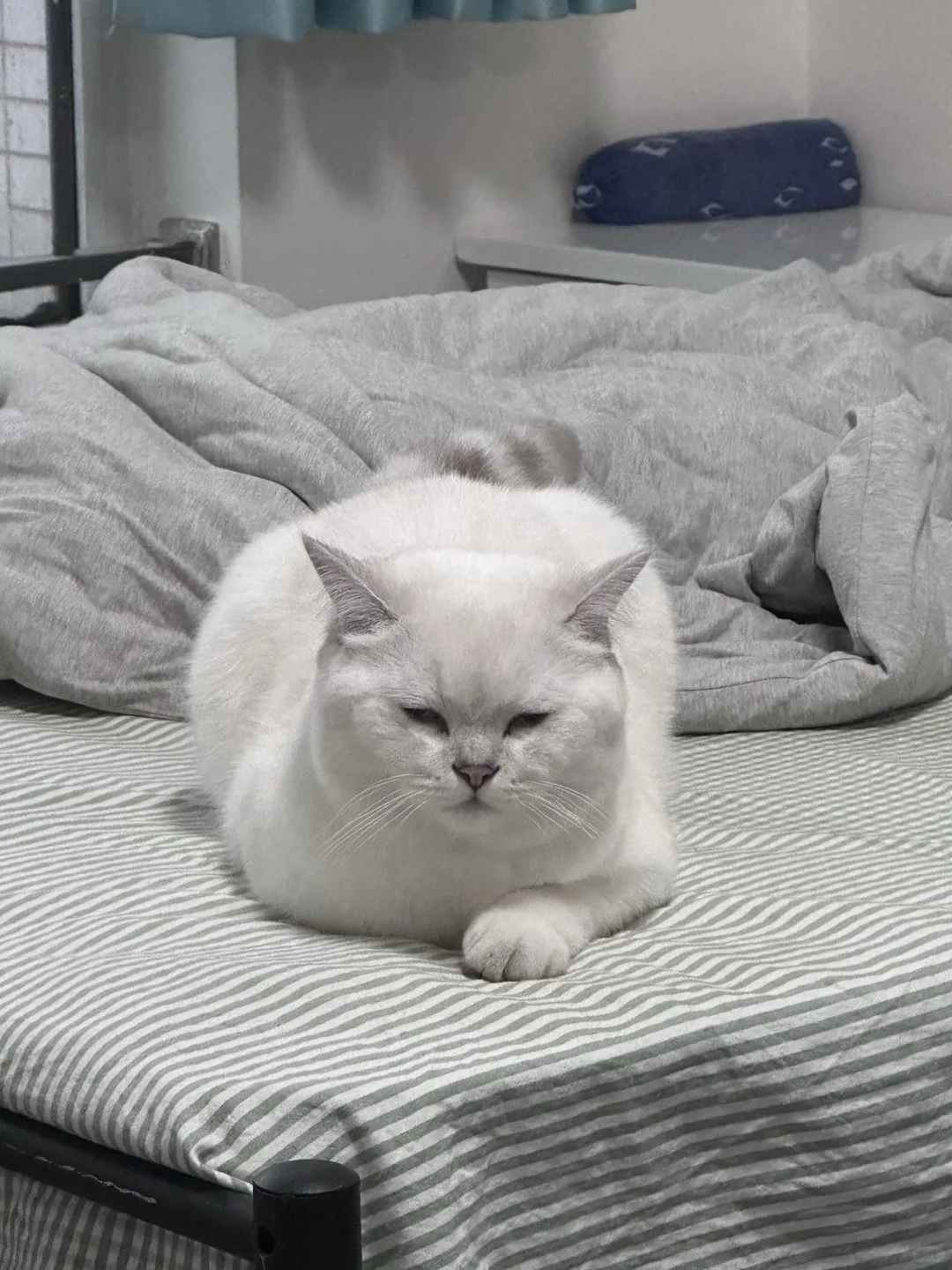 媚眼如丝→鬼迷日眼