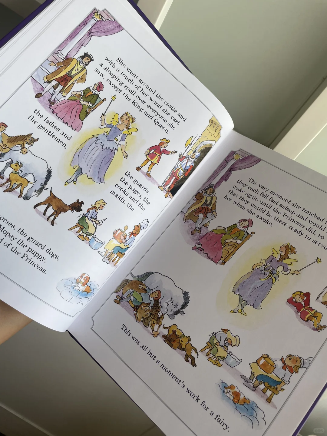 ✨超经典‼️格林童话故事系列之 睡美人👸