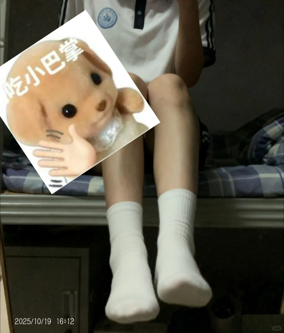 周日返校干什么呢？