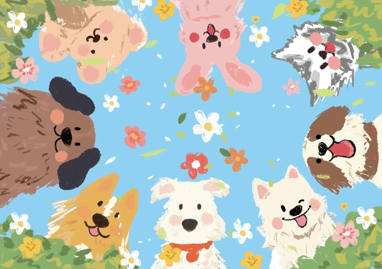 小猫小狗的可爱暴击来啦pad电脑桌面壁纸