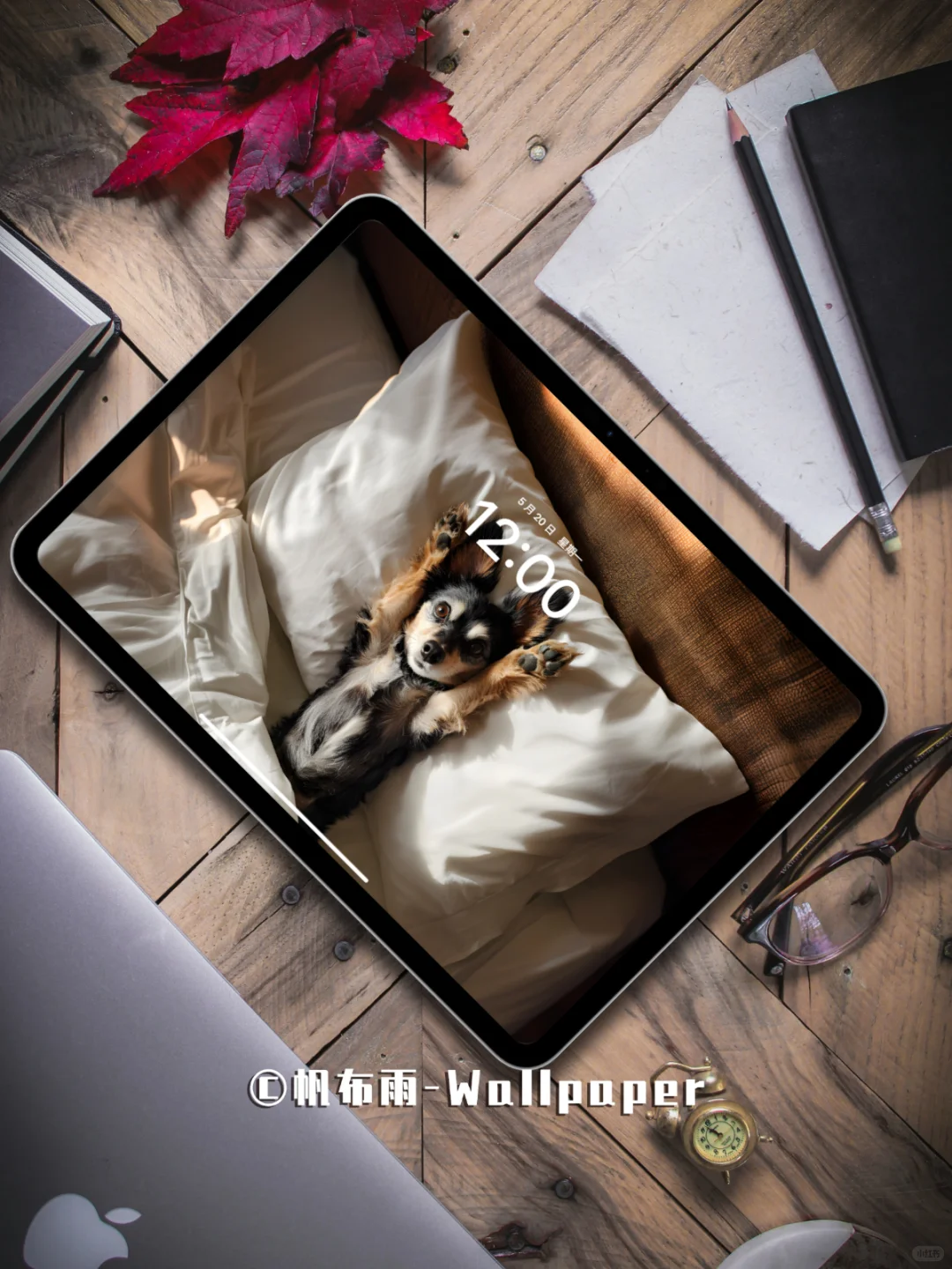 【020】汪汪卧室松弛感｜iPad壁纸✨