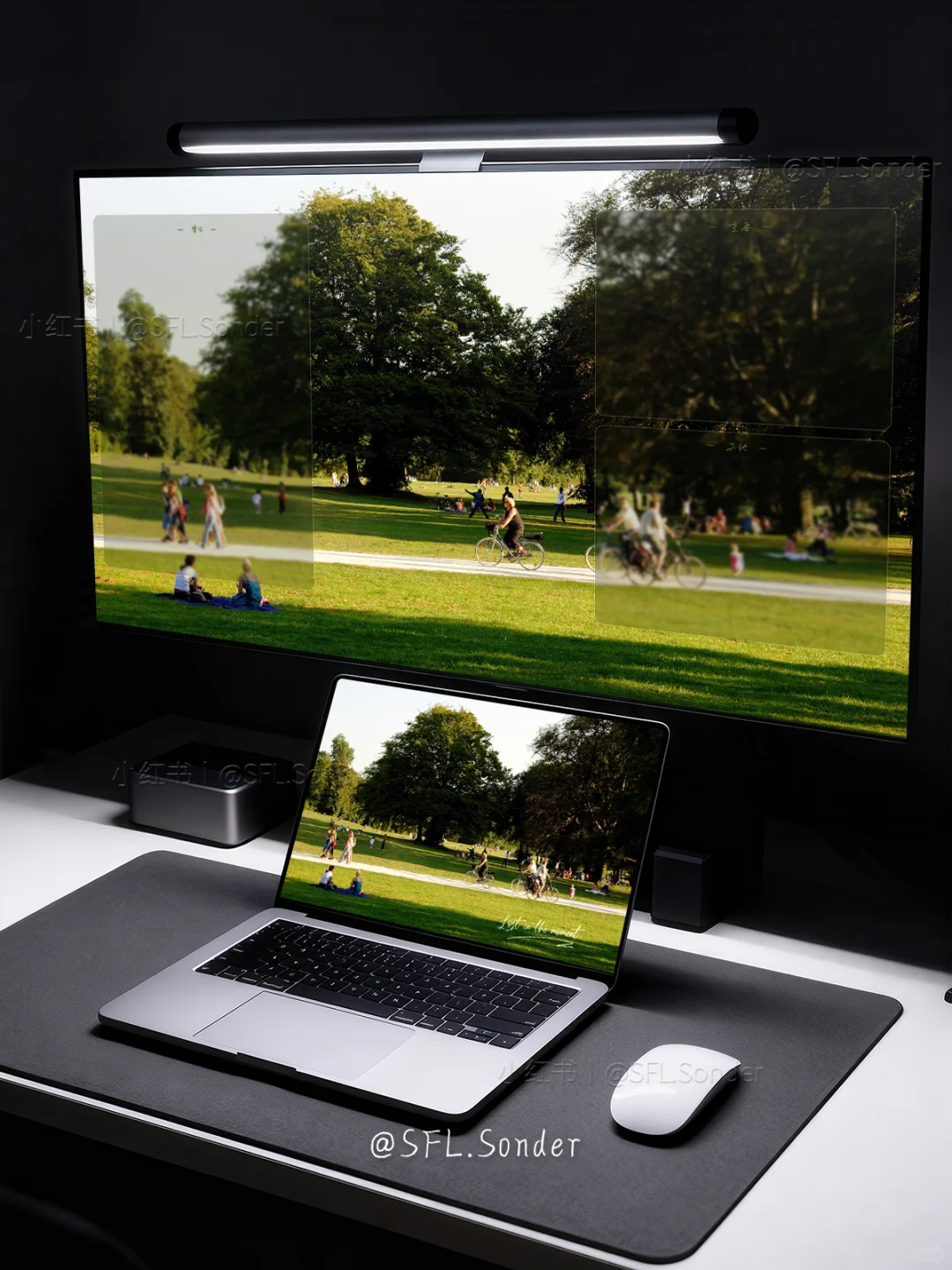 “午后的公园，是我的能量场.”电脑壁纸