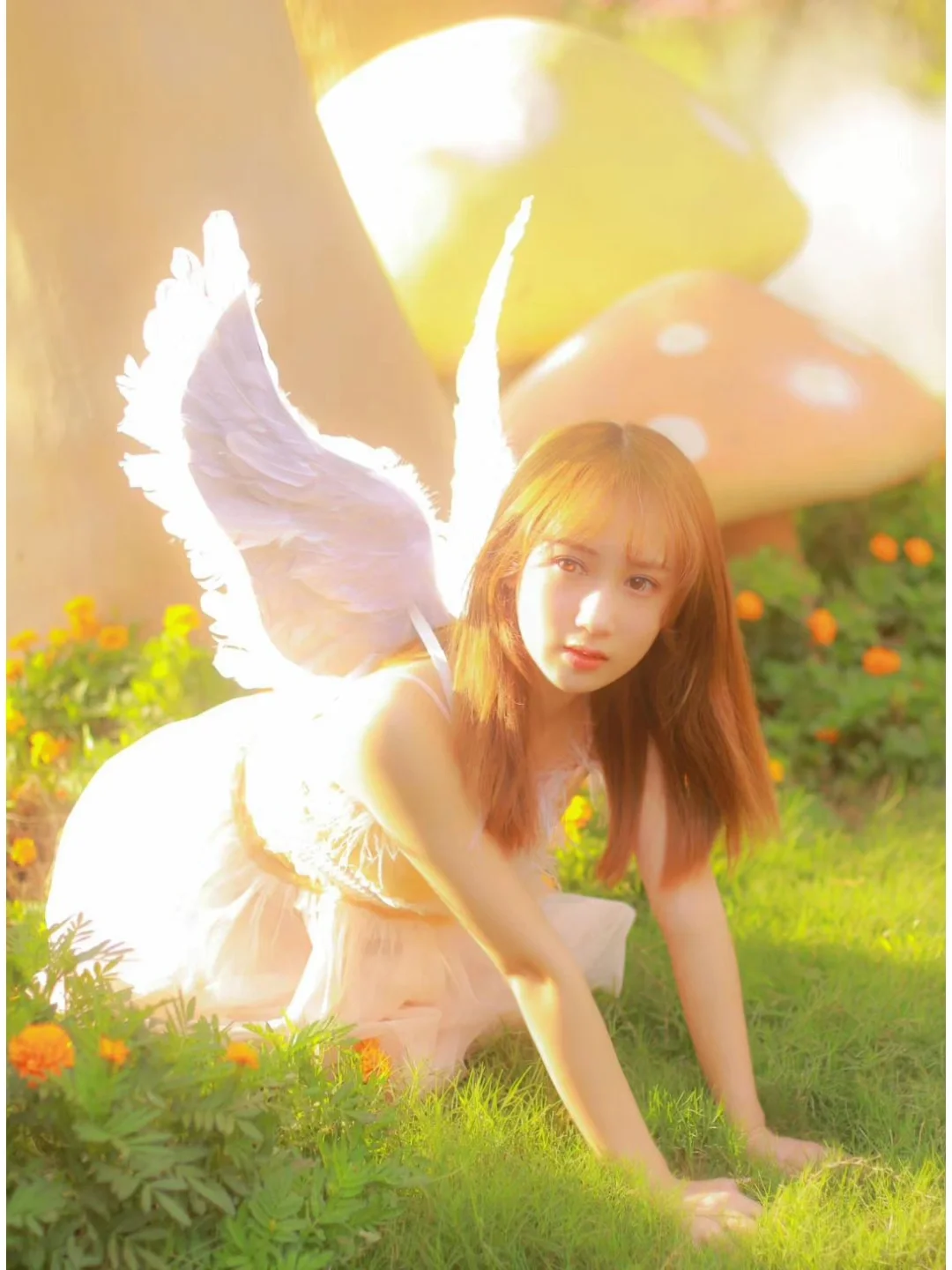 写真日记碎片✨误入人间的小天使💫