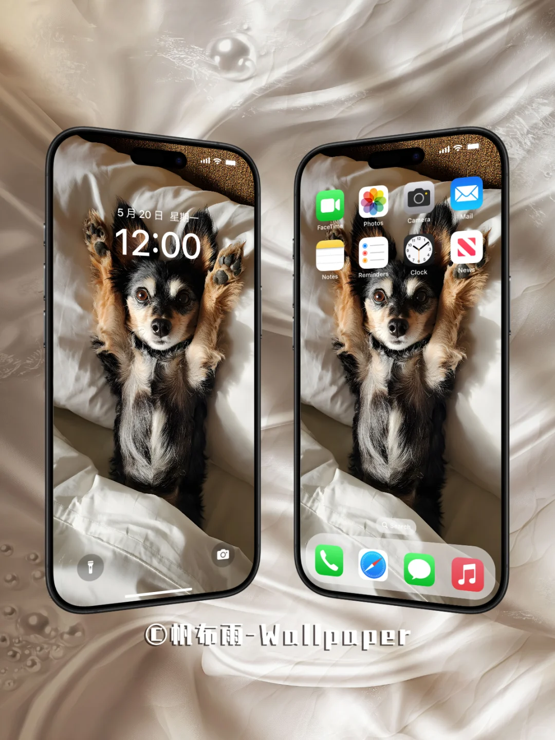 【020】汪汪卧室松弛感｜手机壁纸✨