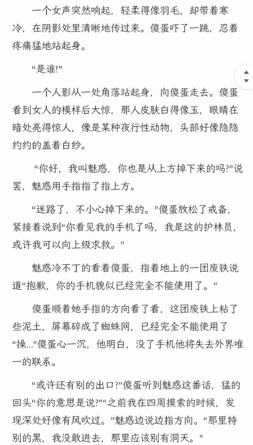 魅惑X傻 公主X傻