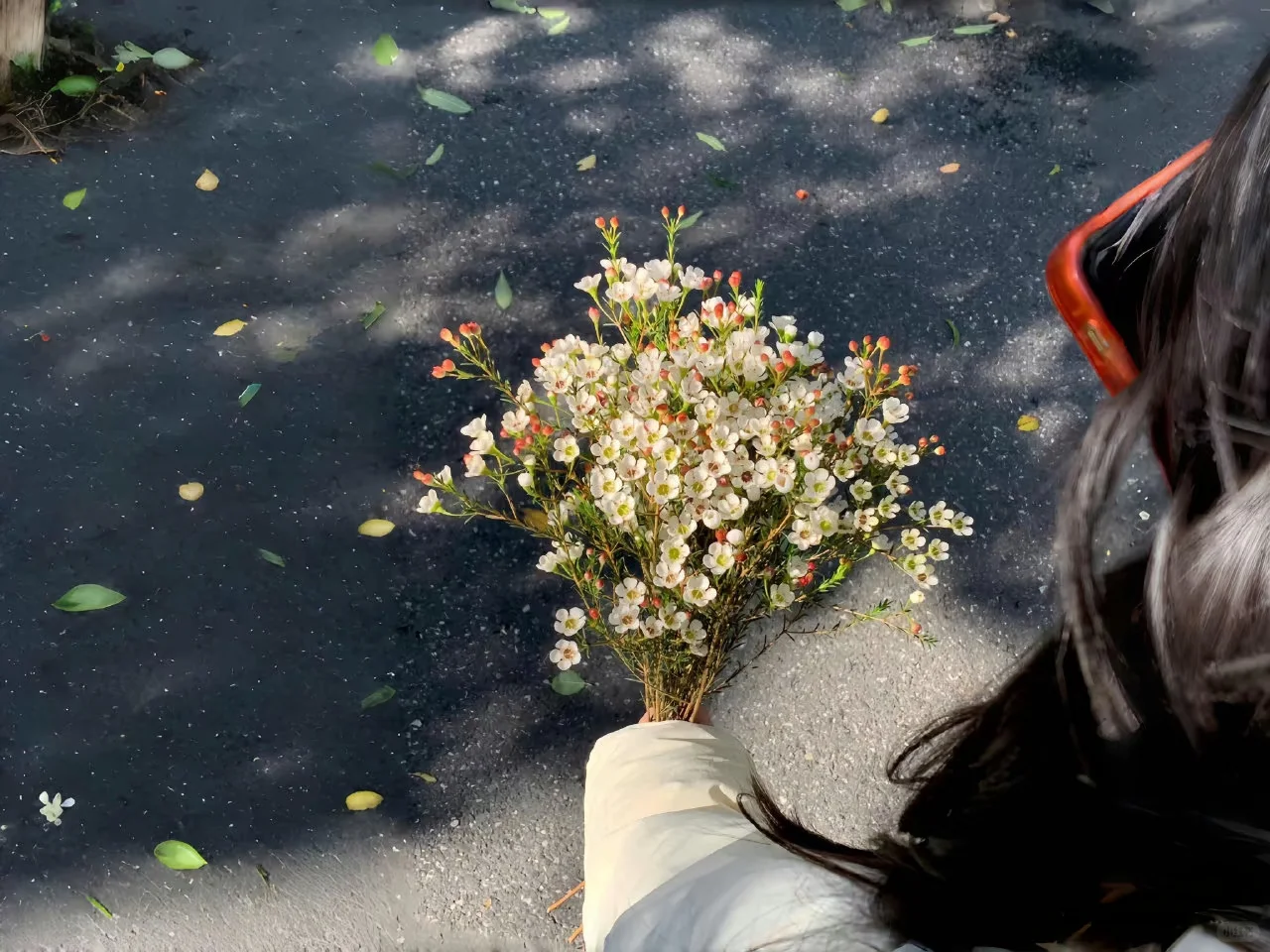 '平板用壁纸.（单.张.可.取.)