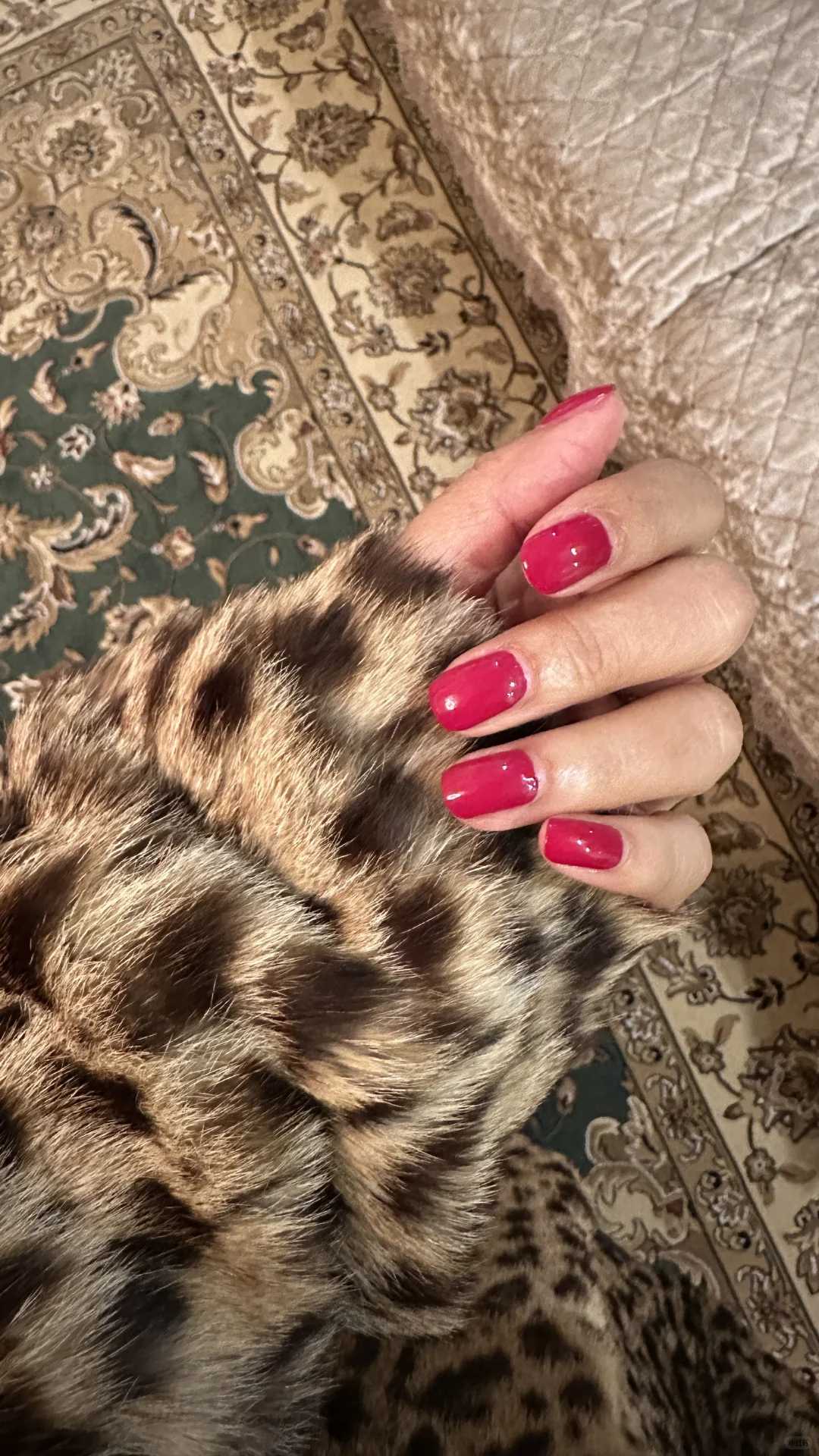 新入的爱马仕指甲油77号 原相机试色