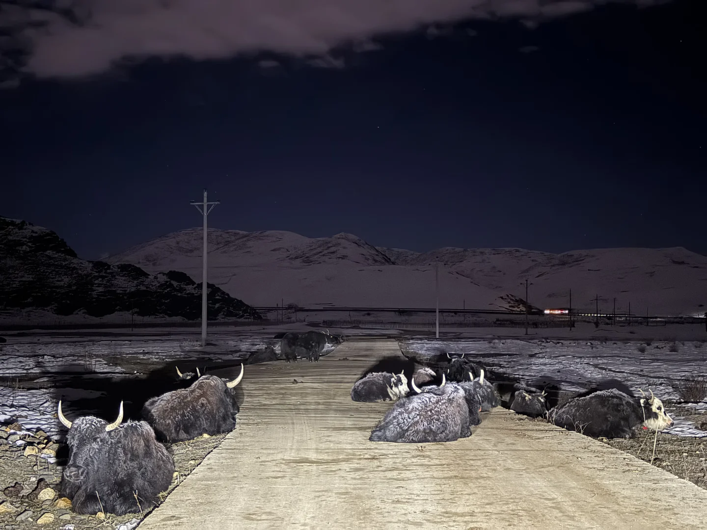 此刻，月光照亮山谷