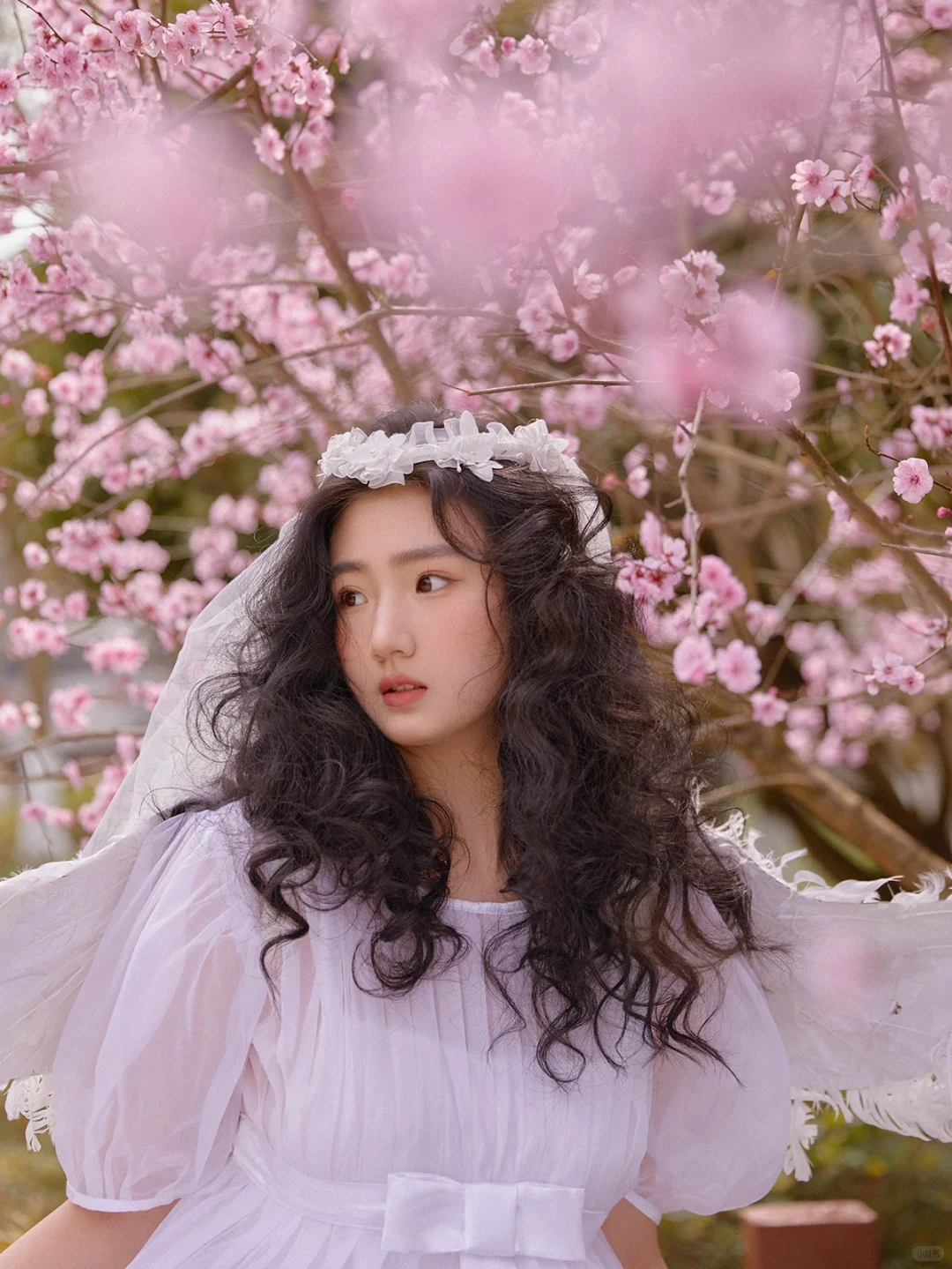 重庆户外少女写真|宝藏桃花天使写真