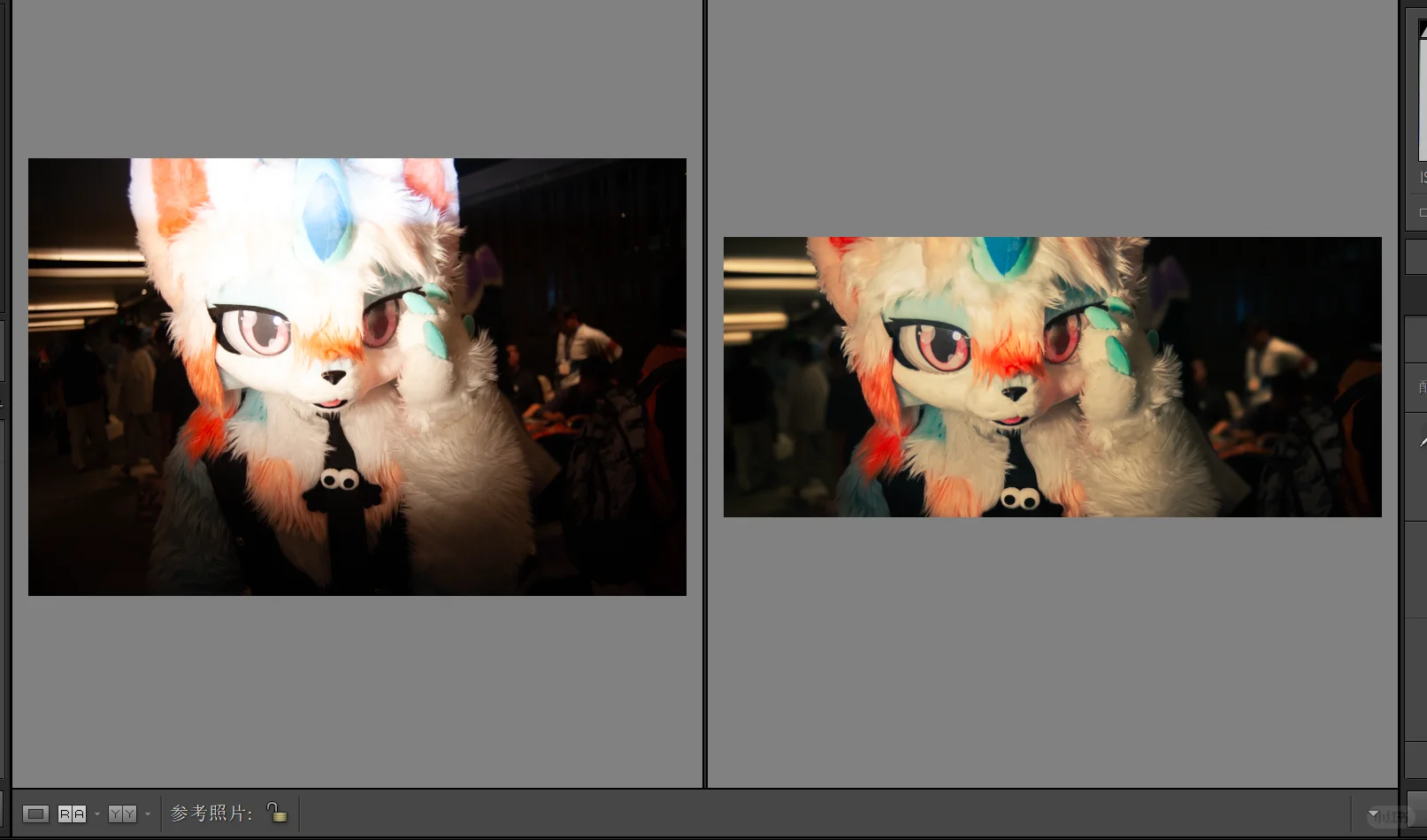 瑞兽快闪大片,拍二送一