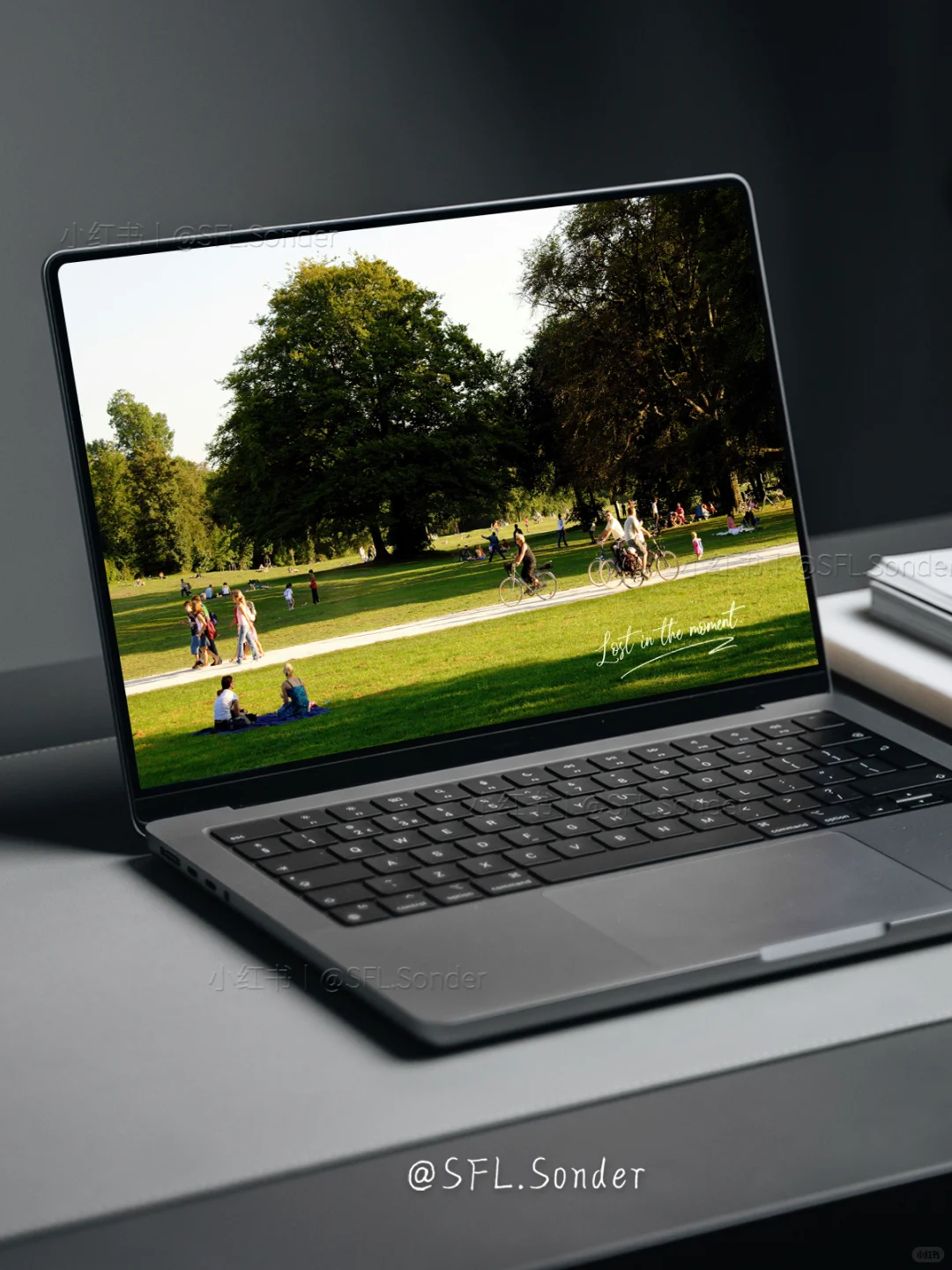 “午后的公园，是我的能量场.”电脑壁纸