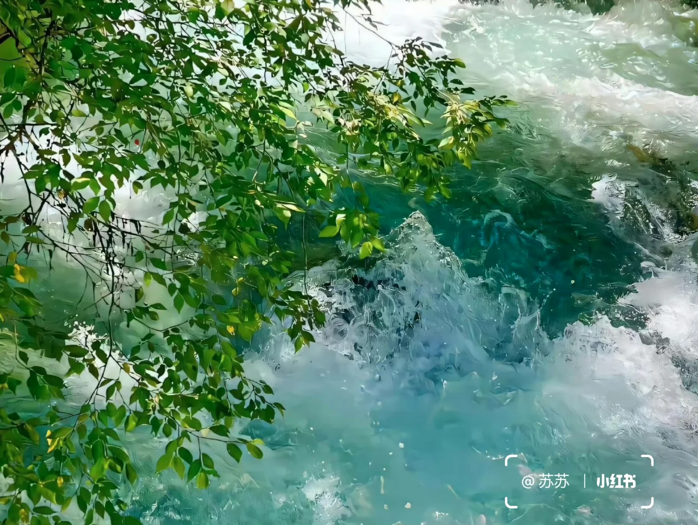 share｜一组治愈iPad壁纸