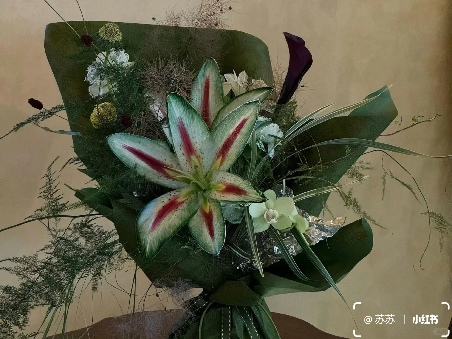 share｜一组治愈iPad壁纸