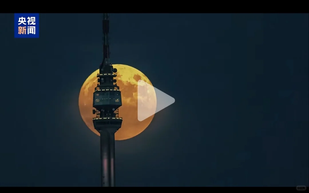 今人不见古时月，今月曾经照古人全诗及解析