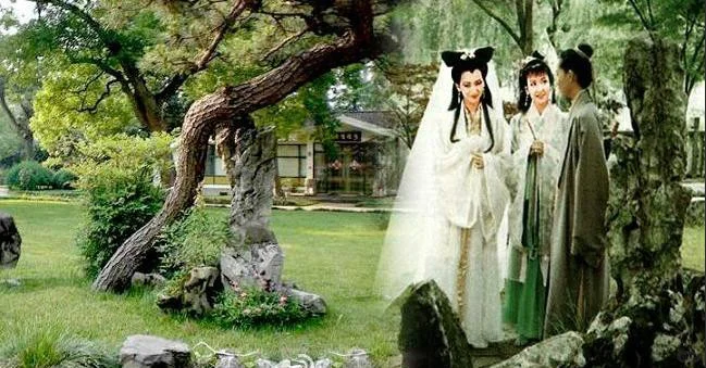 无法超越的经典《新白娘子传奇》