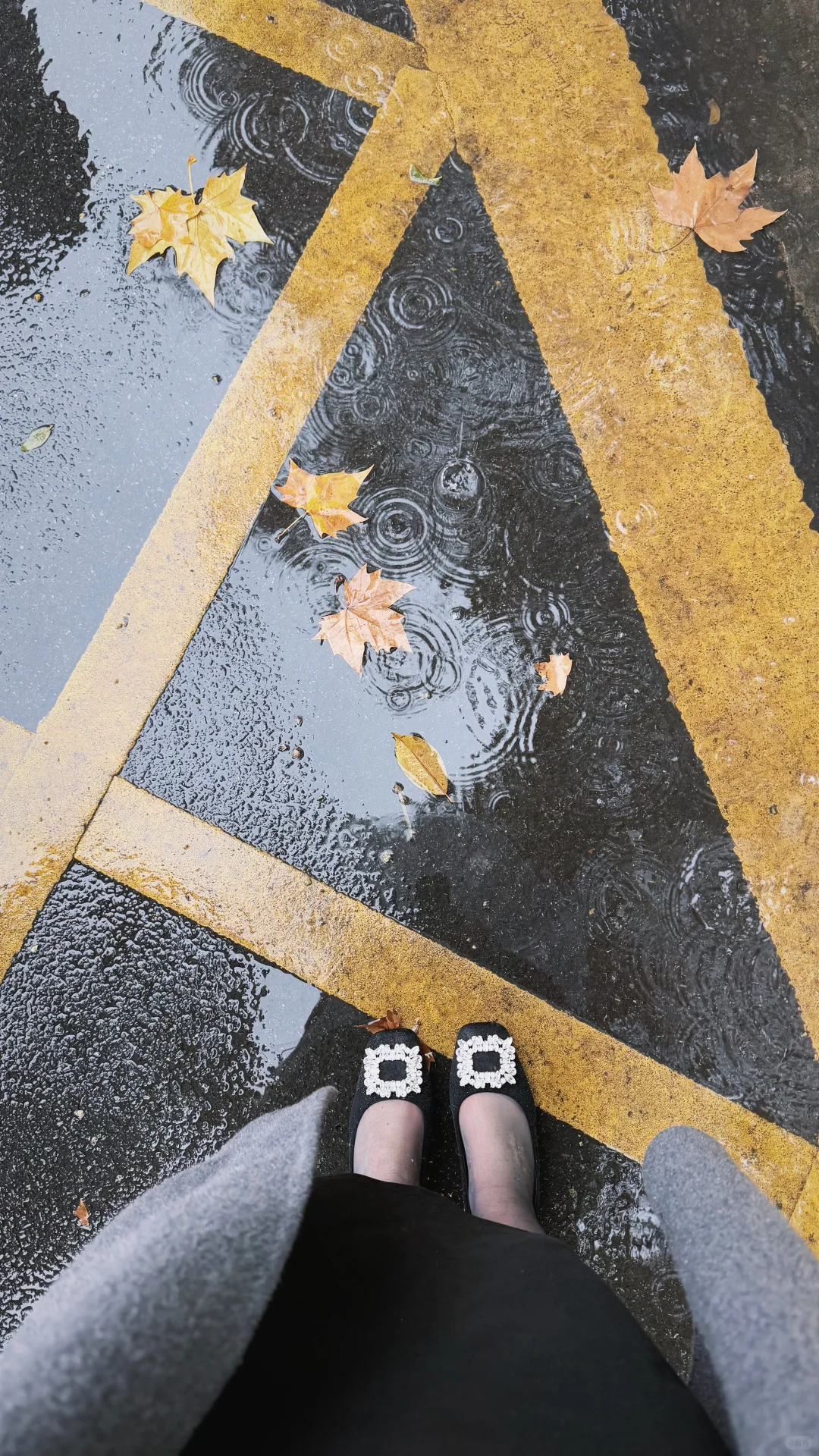 谁懂 姐妹给拍的好美啊