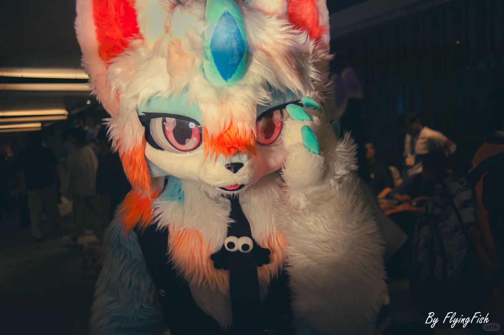 瑞兽快闪大片,拍二送一