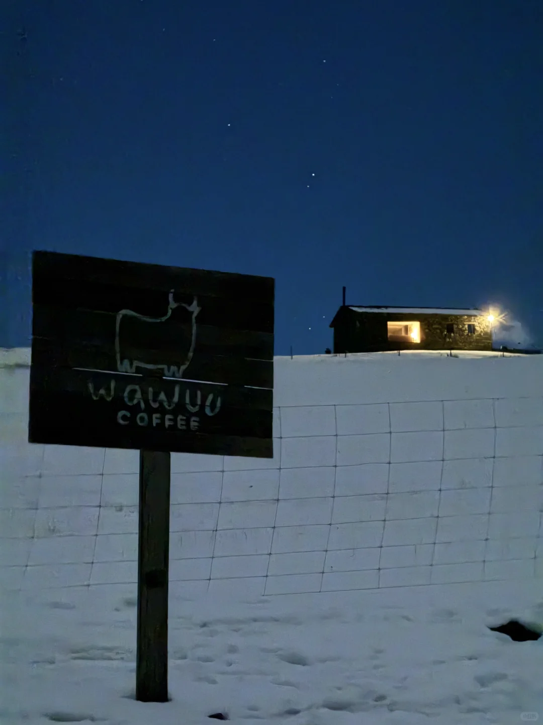 此刻，月光照亮山谷