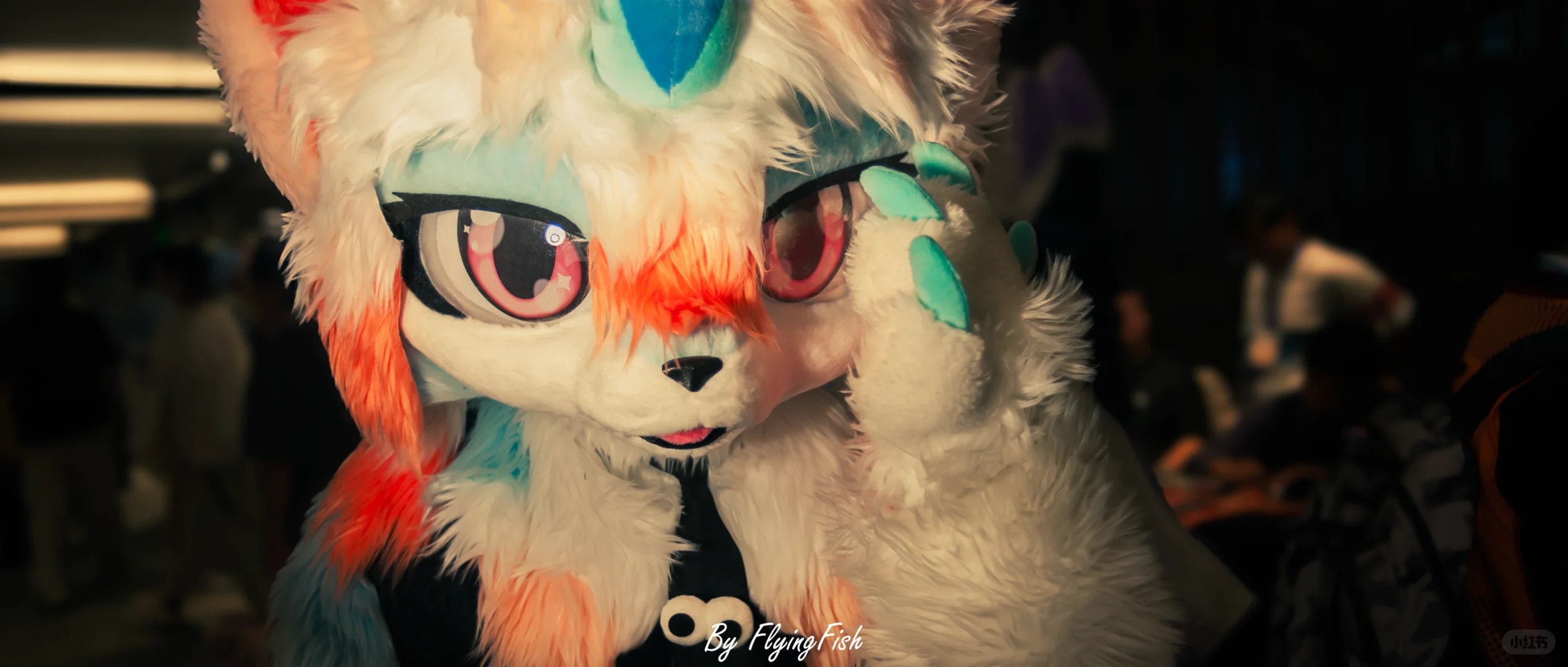 瑞兽快闪大片,拍二送一