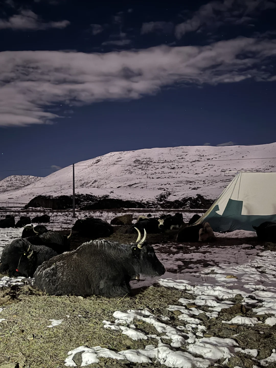 此刻，月光照亮山谷