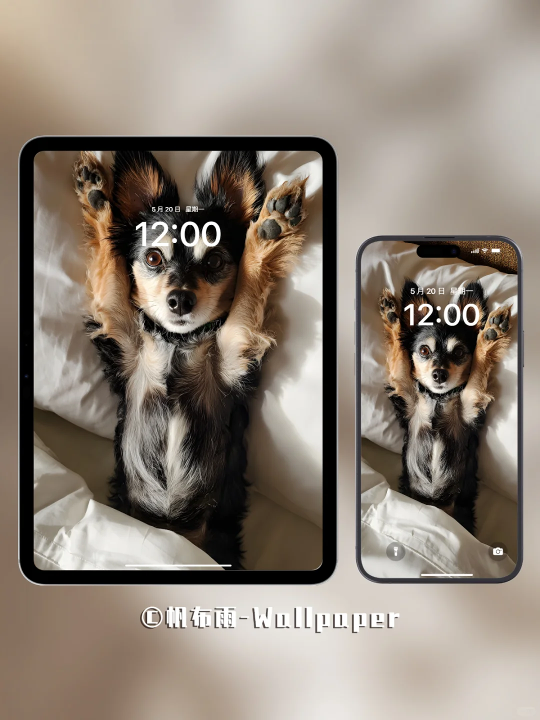 【020】汪汪卧室松弛感｜手机壁纸✨