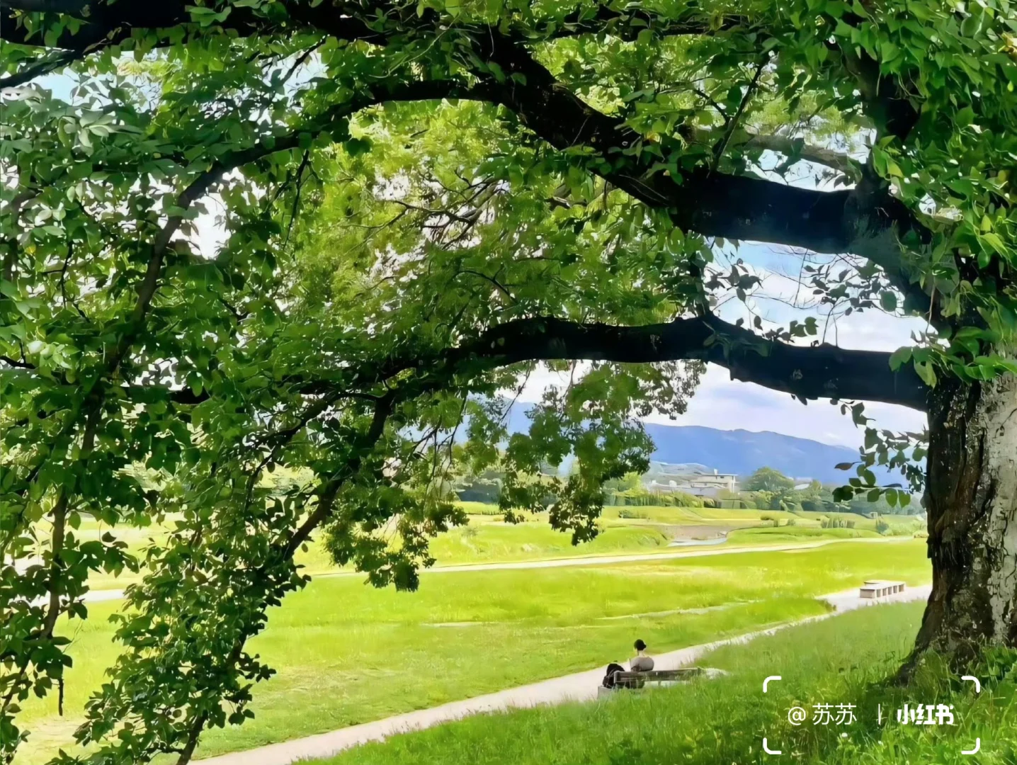 share｜一组治愈iPad壁纸