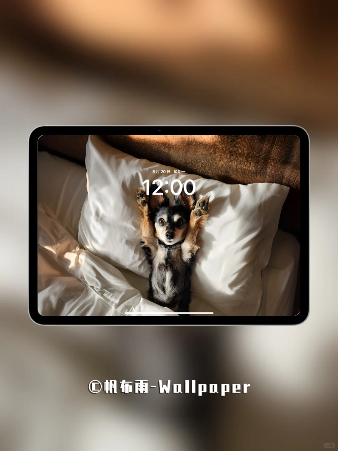 【020】汪汪卧室松弛感｜iPad壁纸✨
