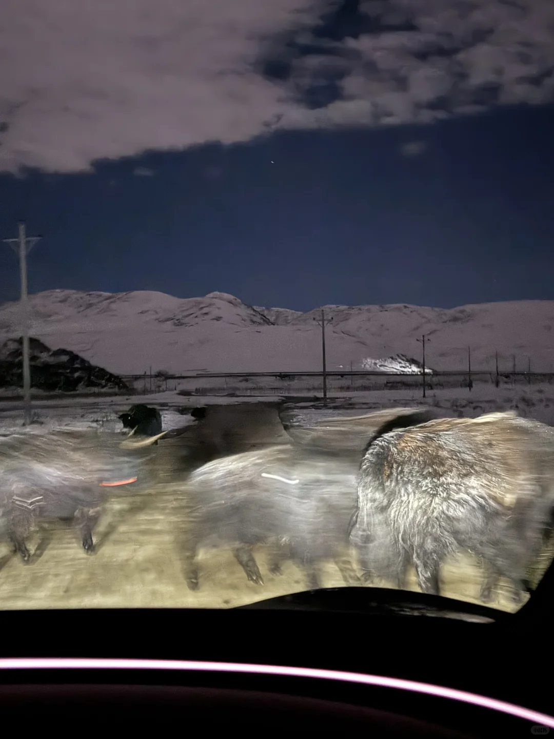 此刻，月光照亮山谷