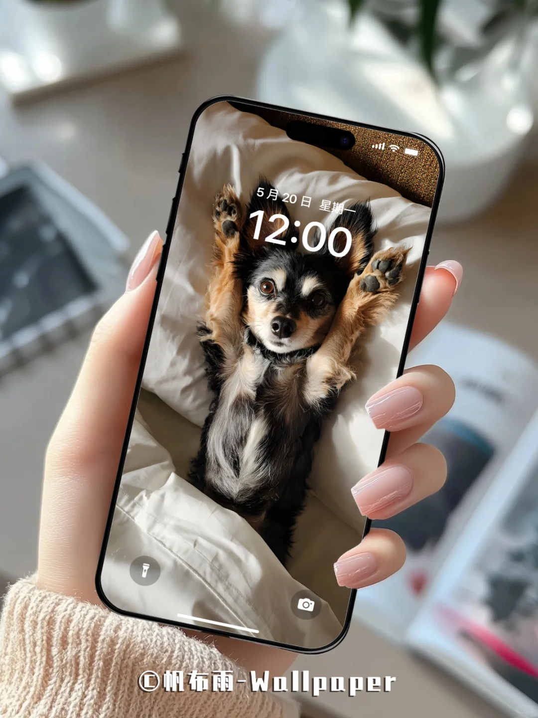 【020】汪汪卧室松弛感｜手机壁纸✨