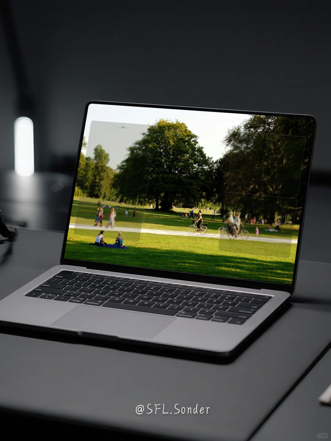 “午后的公园，是我的能量场.”电脑壁纸