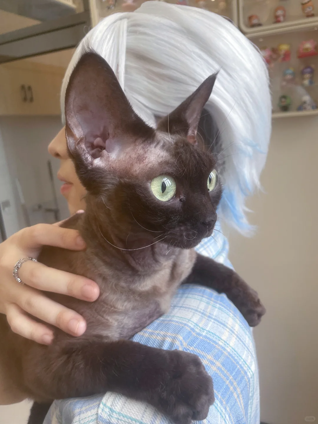 右滑看小咪私房照