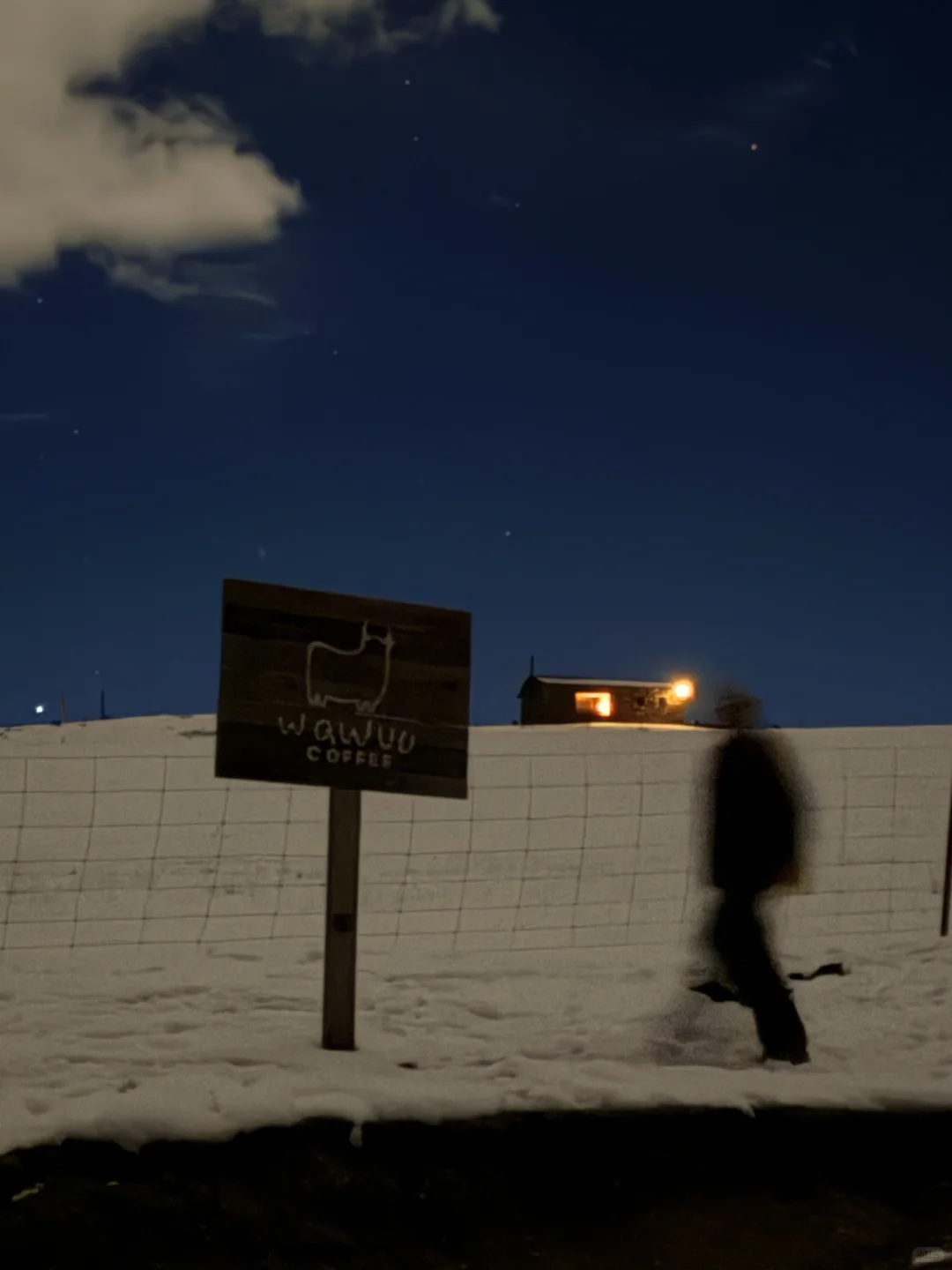 此刻，月光照亮山谷