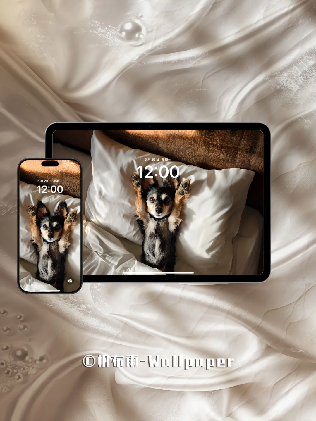 【020】汪汪卧室松弛感｜iPad壁纸✨
