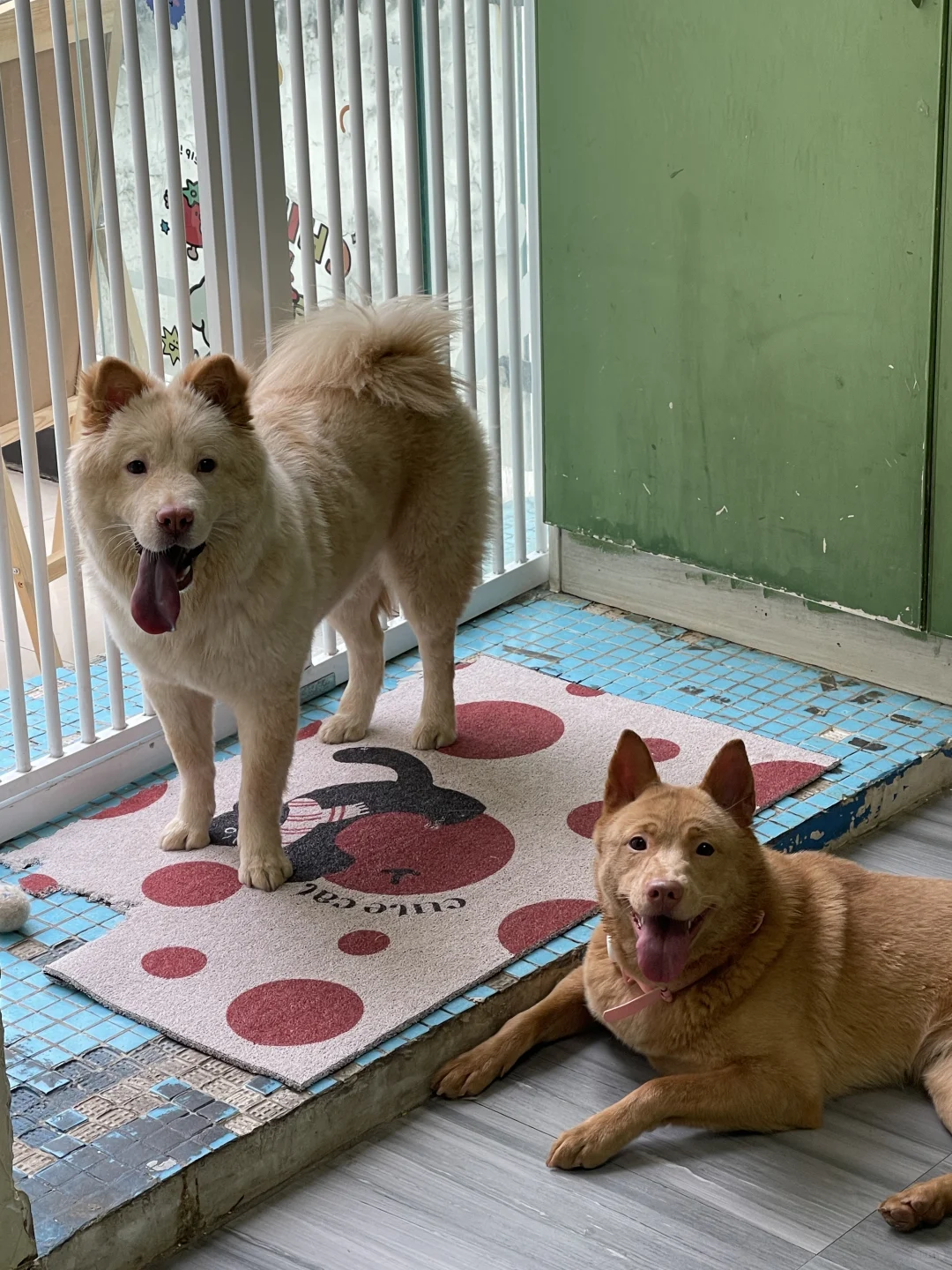 饼干私房照似意外传出