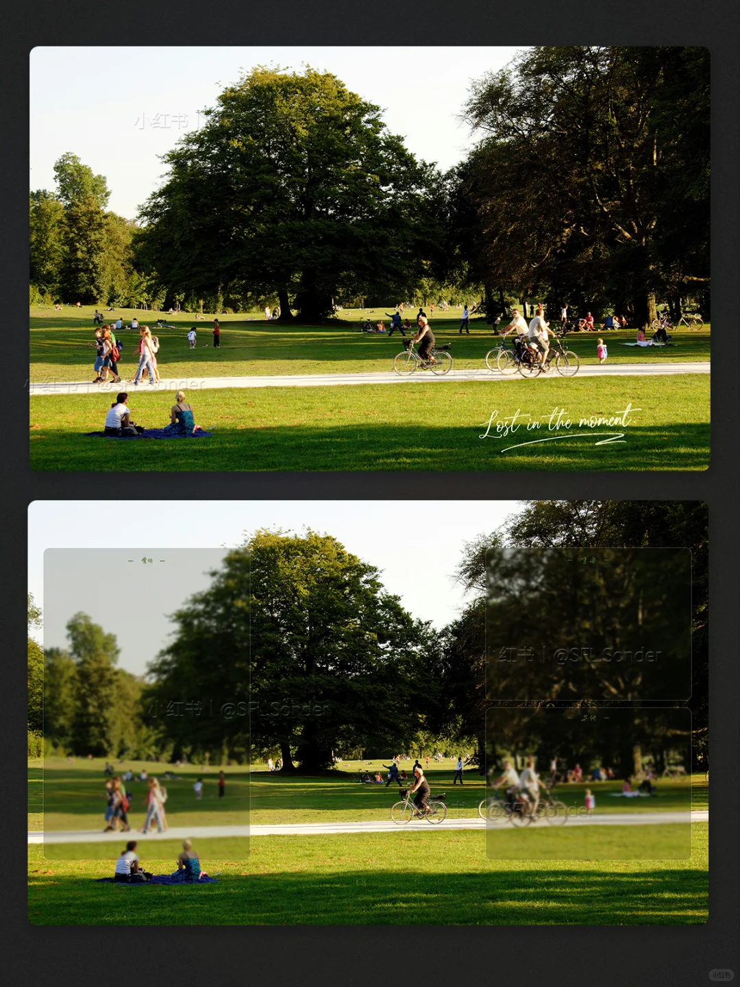 “午后的公园，是我的能量场.”电脑壁纸