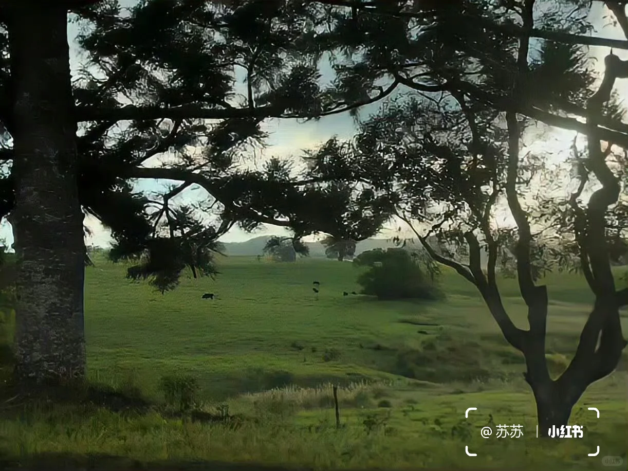 share｜一组治愈iPad壁纸