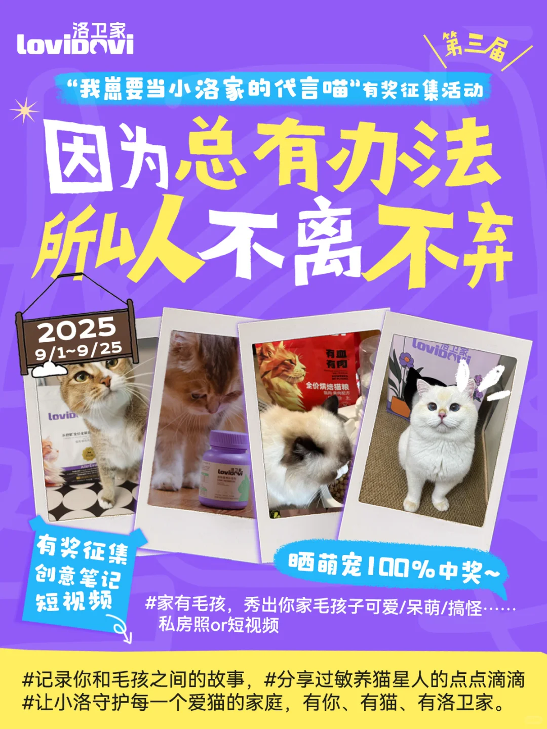 第三届代言喵活动来啦！中奖率百分百