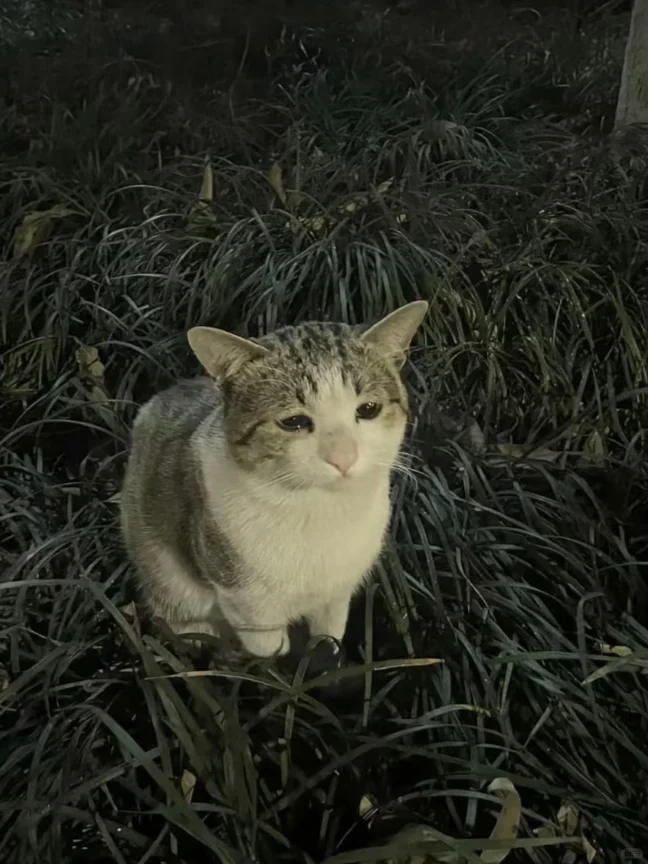 好像和女朋友在谈一种很…畸形的恋爱…