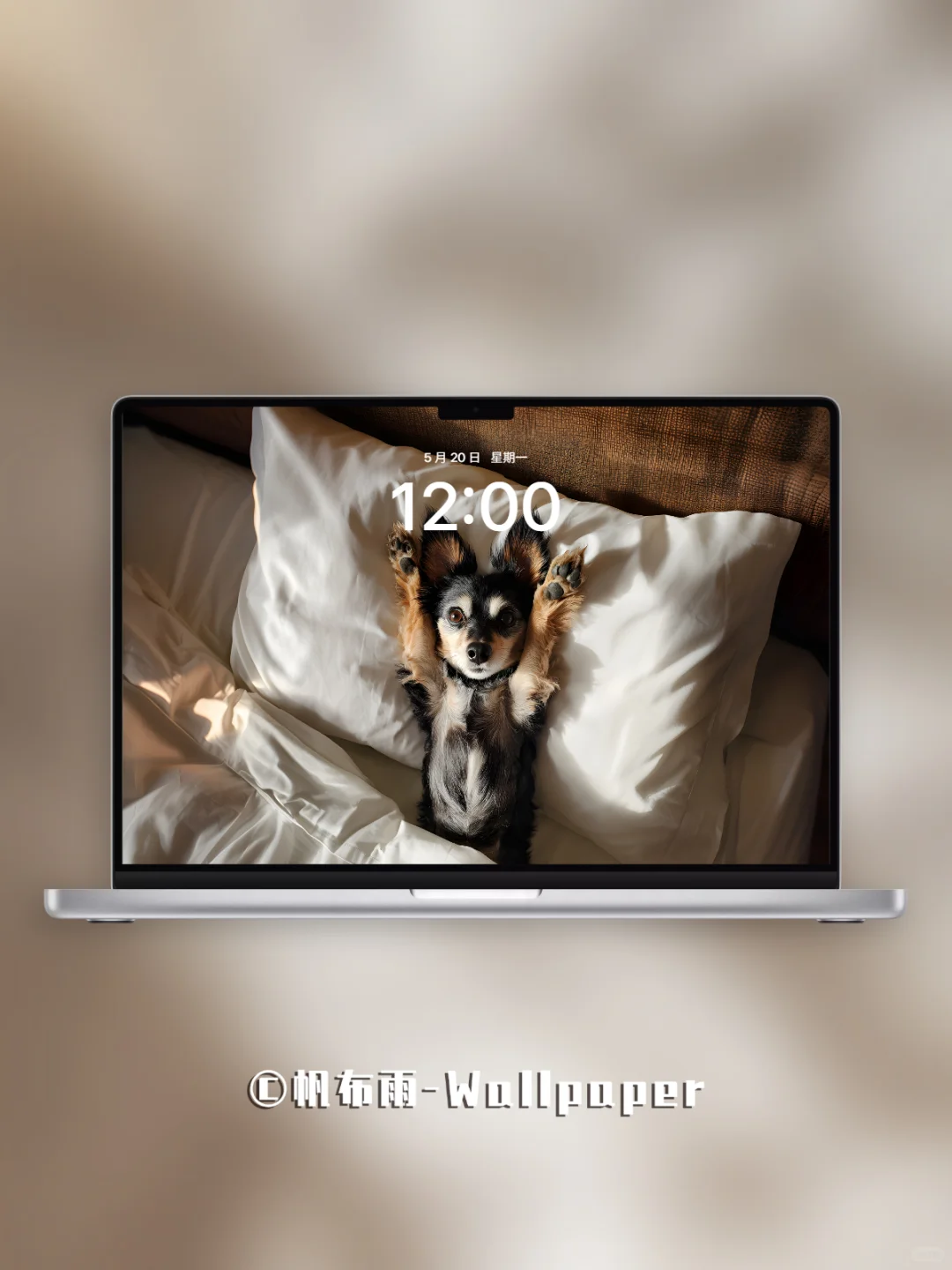 【020】汪汪卧室松弛感｜iPad壁纸✨