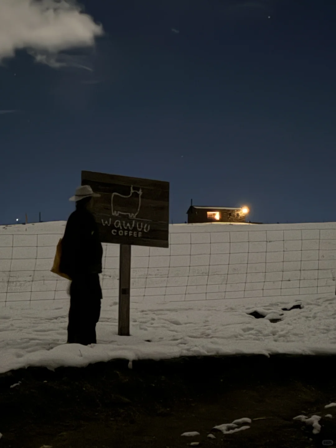 此刻，月光照亮山谷