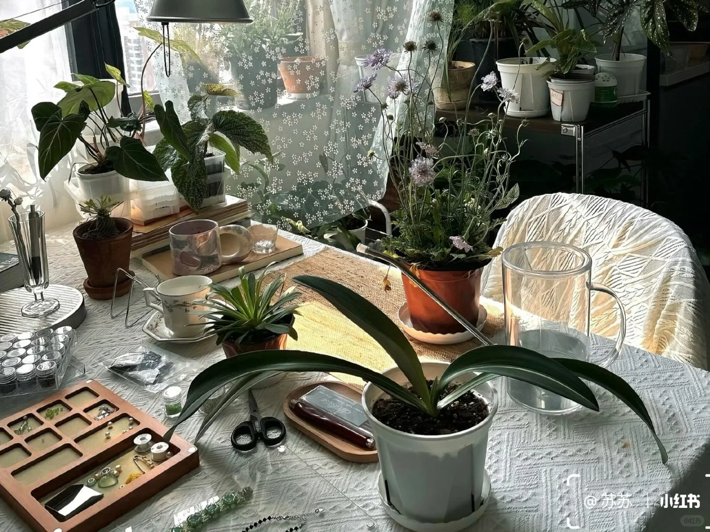 share｜一组治愈iPad壁纸