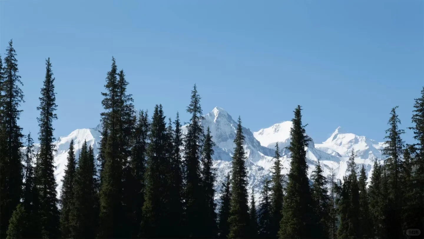 '平板用壁纸.（单.张.可.取.)