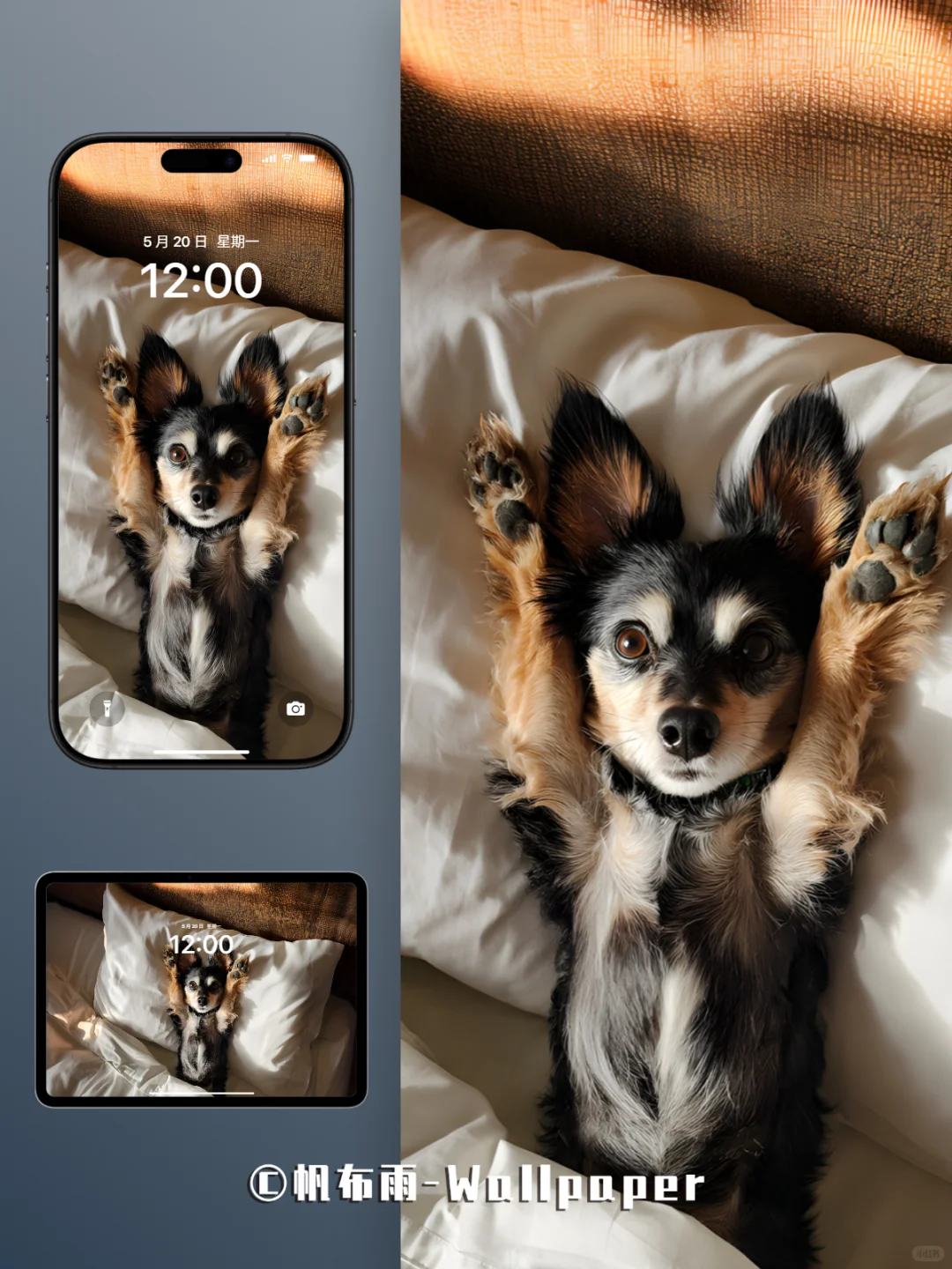 【020】汪汪卧室松弛感｜iPad壁纸✨
