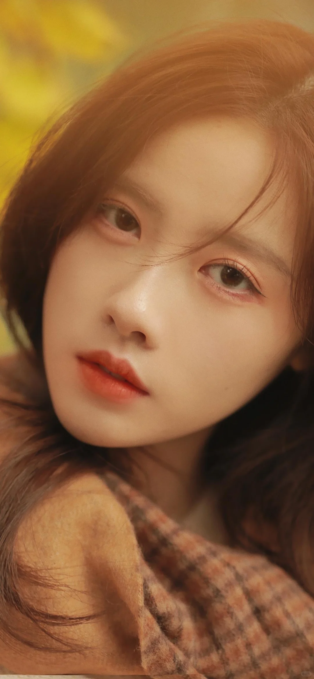 「像春天一样的女孩🌷」